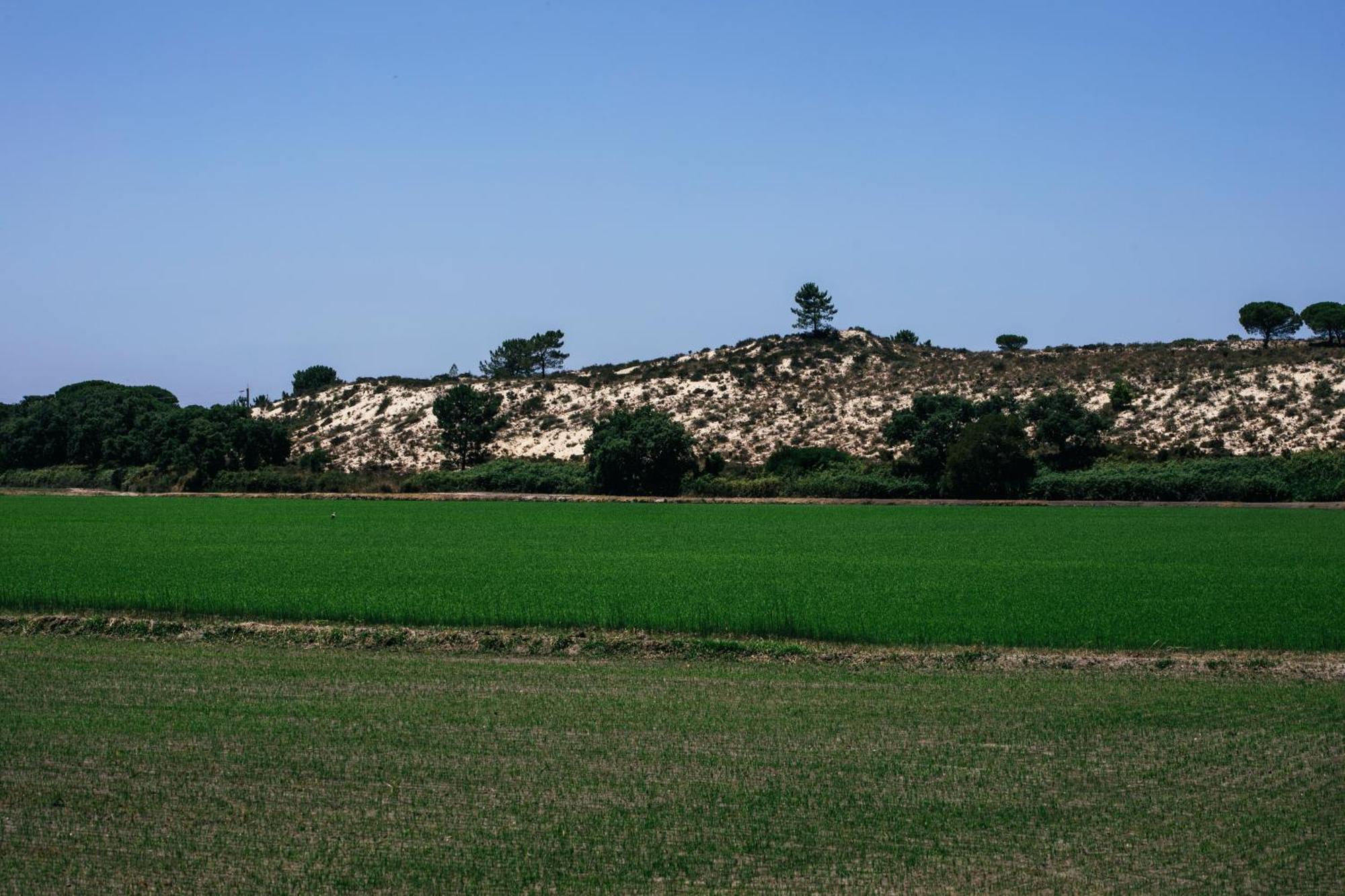 Herdade De Montalvo - Comporta Eksteriør billede