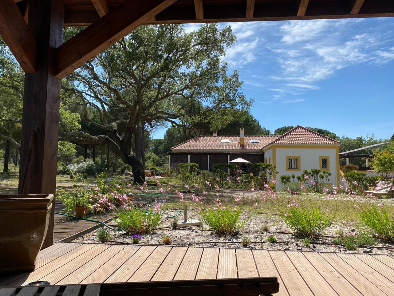 Herdade De Montalvo - Comporta Eksteriør billede