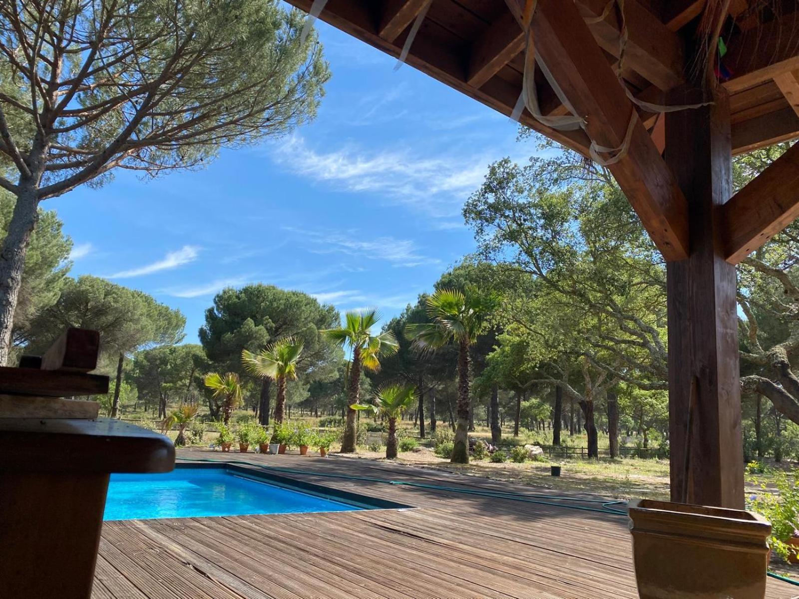 Herdade De Montalvo - Comporta Eksteriør billede